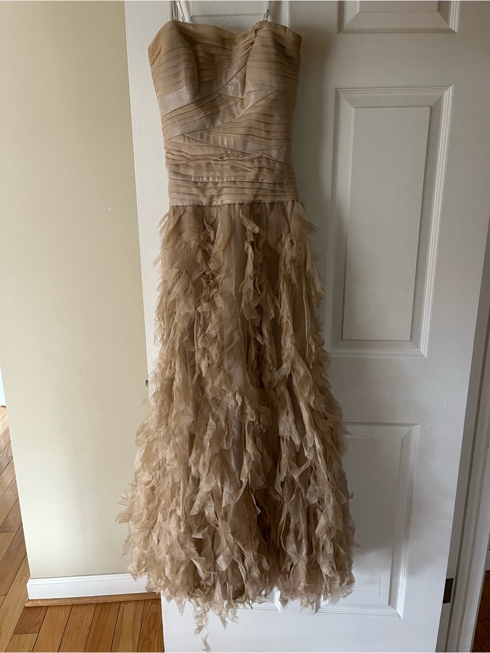 Tadashi Shoji Strapless Feathered Tulle Evening Dress in Beige